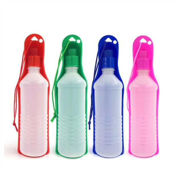 Water Bottle For Dog - Glow Goddess Cosmetics